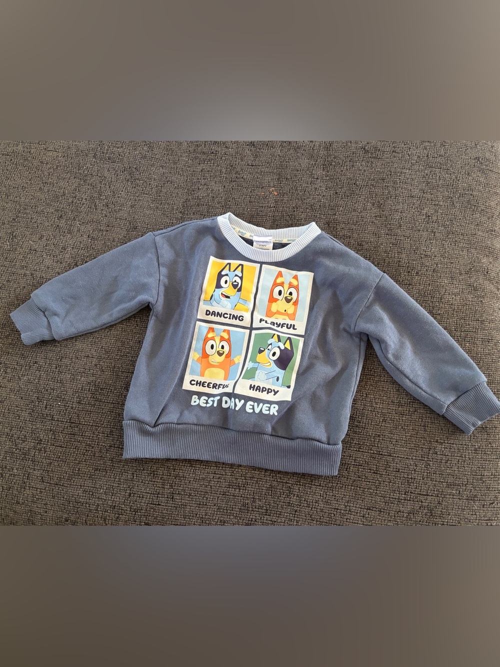 Bluey & Bingo “Best Day Ever" Sweatshirt